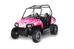 Polaris RZR 170 Graphic Kit
