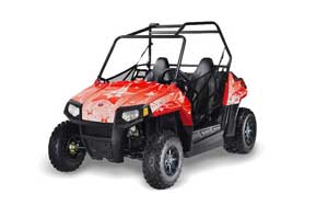 Polaris RZR 170 Graphic Kit