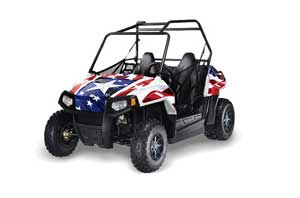 Polaris RZR 170 Graphic Kit