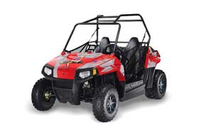 Polaris RZR 170 Graphic Kit