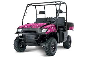 Polaris Ranger 500 / 700 XP Graphic Kit