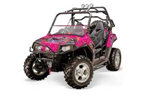 Polaris RZR 800 / 800S Graphic Kit