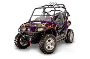 Polaris RZR 800 / 800S Graphic Kit - 2006-2010 Motorhead Purple