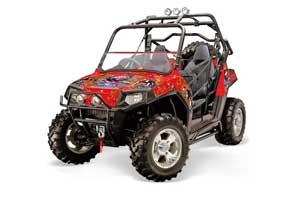 Polaris RZR 800 / 800S Graphic Kit