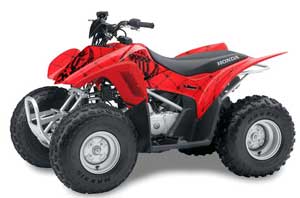 Honda TRX 90 ATV Graphic Kit