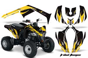 Can Am Bombardier DS250 ATV Custom Graphic Kit - 2006-2021