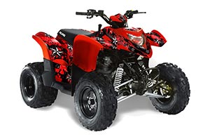 Polaris Phoenix 200 ATV Graphic Kit
