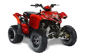 Polaris Phoenix 200 ATV Graphic Kit