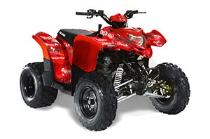 Polaris Phoenix 200 ATV Graphic Kit