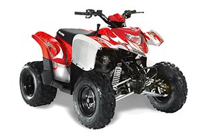 Polaris Phoenix 200 ATV Graphic Kit