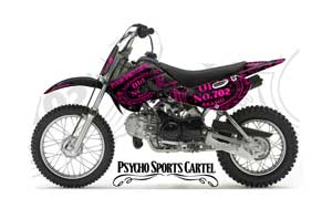 Suzuki DRZ 110 Dirt Bike Graphic Kit