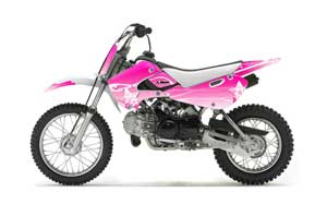 Suzuki DRZ 110 Dirt Bike Graphic Kit