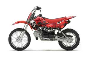 Suzuki DRZ 110 Dirt Bike Graphic Kit