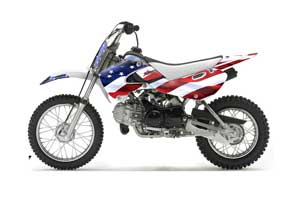 Suzuki DRZ 110 Dirt Bike Graphic Kit