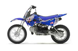 Suzuki DRZ 110 Dirt Bike Graphic Kit