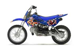 Suzuki DRZ 110 Dirt Bike Graphic Kit