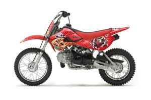 Suzuki DRZ 110 Dirt Bike Graphic Kit