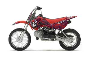 Suzuki DRZ 110 Dirt Bike Graphic Kit