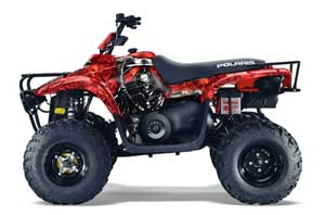 Polaris Trailboss 330 ATV Graphic Kit