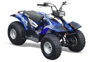 Yamaha Breeze 125 ATV Graphic Kit