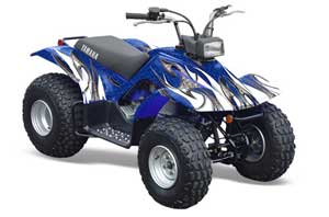 Yamaha Breeze 125 ATV Graphic Kit