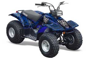 Yamaha Breeze 125 ATV Graphic Kit