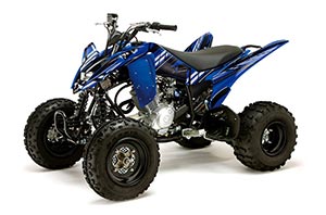 Yamaha Raptor 125 ATV Graphic Kit