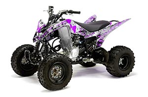 Yamaha Raptor 125 ATV Graphic Kit