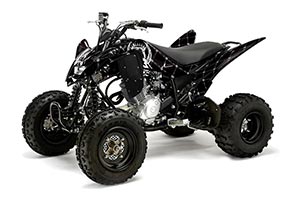 Yamaha Raptor 125 ATV Graphic Kit