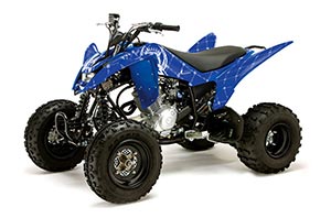 Yamaha Raptor 125 ATV Graphic Kit